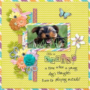 Ollie in Spring