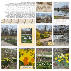 May 2021 My Favorite Things: 3-27-21 Wellfield- B