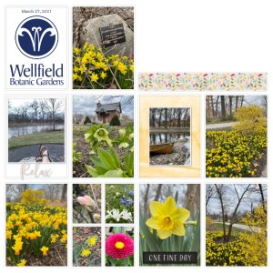 May 2021 My Favorite Things: 3-27-21 Wellfield- A