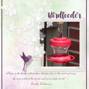 Birdfeeder