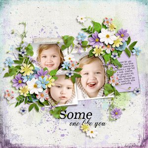 someone like you