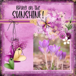 Bring On The Sunshine