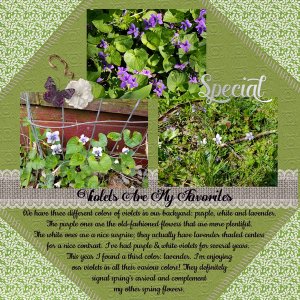 Violets Are My Favorites