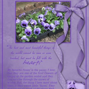 Pansies