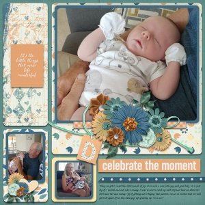 Story Blocks 2 Template #3-Miss Fish
