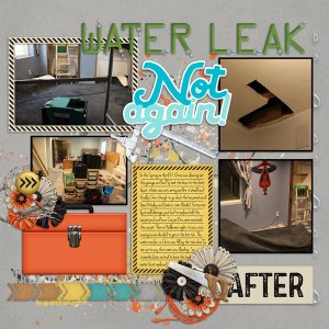 Leaks in the Basement