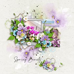 Spring Beauty