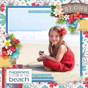HAPPINESS IS A DAY AT THE BEACH