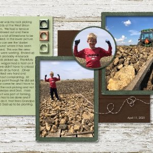 Picking Rock