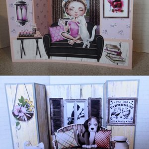 Bridge Cards
