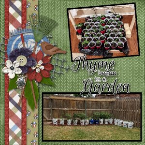 Thyme began in a Garden - Word Art Challenge