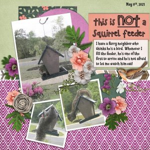May 2021 Template #2 Challenge
