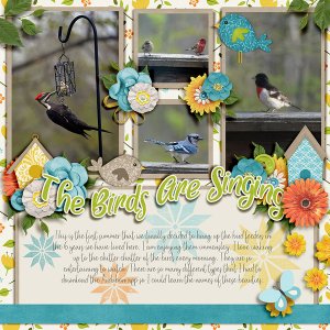 Spring Birds