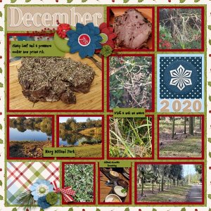 December Wrap Up 2020