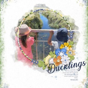 Ducklings