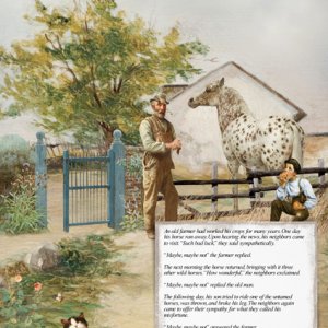 The Farmer