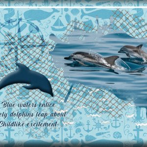 ATC 2021-025 Blue Waters Entice
