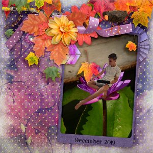 Brady - Waterlily