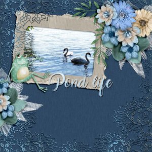 adbdesigns-tide-pooling-pia-01