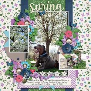 Spring