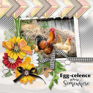 Egg-cellence Starts Somewhere