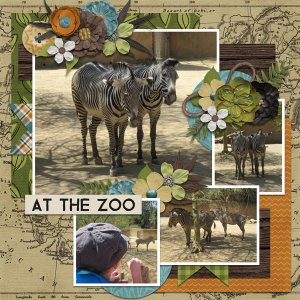 at the zoo