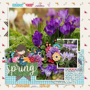 Spring