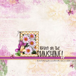 Daisies