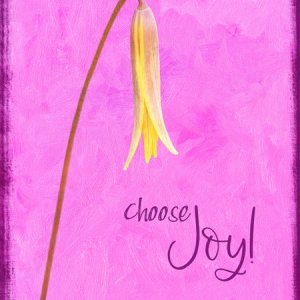 Choose Joy!