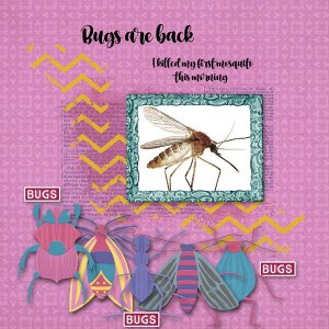 Bugs are Back
