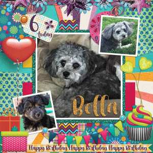 Happy Bday Bella