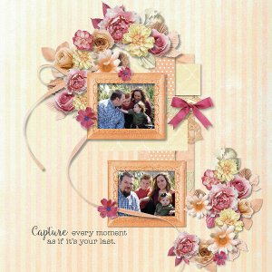 Season of Love by Ilonka