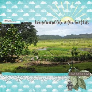 Windward Life