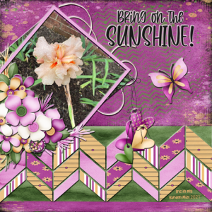 Bring On The Sunshine!