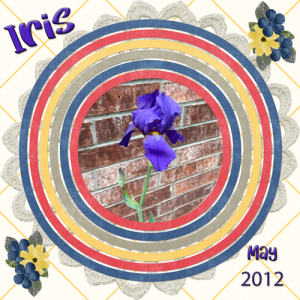 Iris