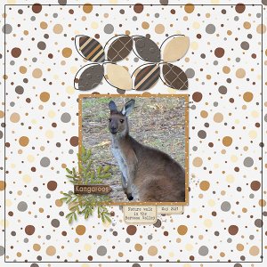 Kangaroo