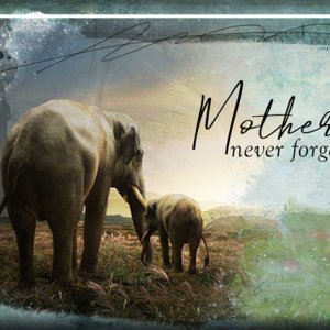 ATC 2021-027 Mothers