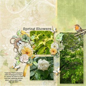 Spring Flowers