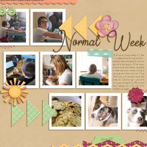 Normal Week