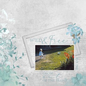 Wild + Free