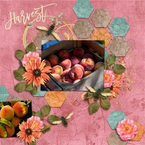 Harvest