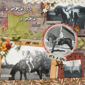 Jan with horses