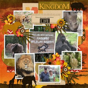 Animal Kingdom