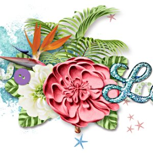 May signature challenge