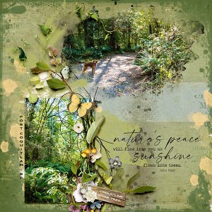 Natures Peace