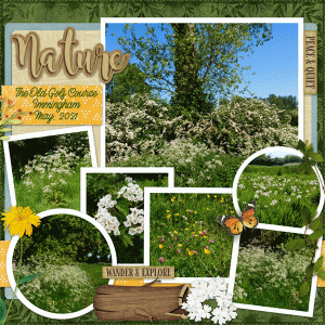 Nature Walk May 2021