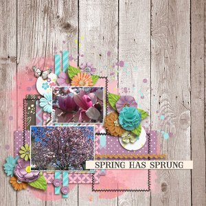 Spring has sprung