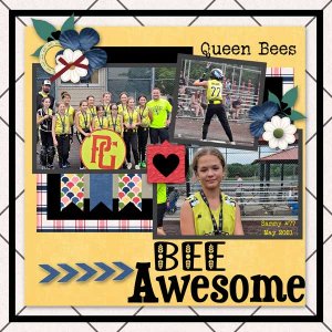 Queen Bees Softball