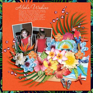 Aloha Wahine