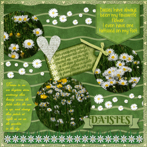 All About the Daisies